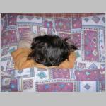 DSCN1549.JPG